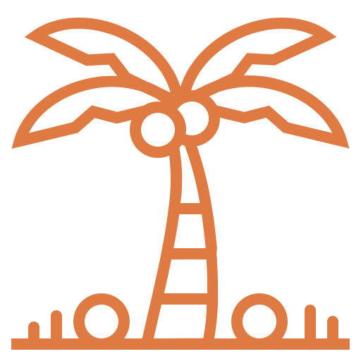 Illustration of a coconut palm tree icon.